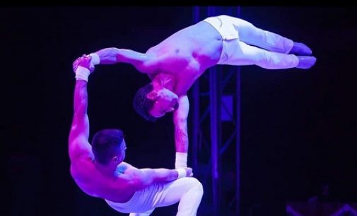  Il Circo Royal  e il Circo di Mosca con uno show spettacolare a Campobasso