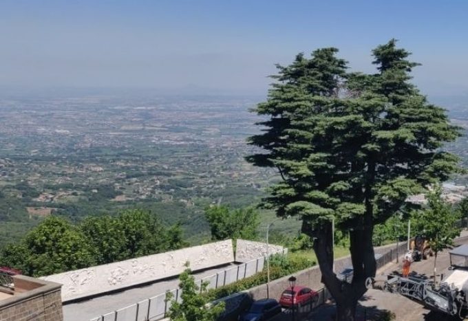 Tre alberi di Rocca Priora entrano nell’Elenco degli alberi monumentali d’Italia