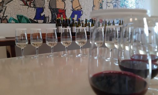 Per la 1^ rassegna nazionale sui vini “resistenti” 91 vini in gara e 56 aziende