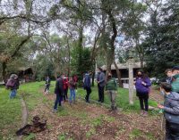 Il Comune di Pomezia celebra la Giornata nazionale degli Alberi