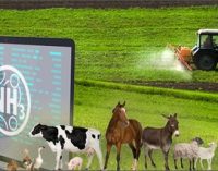 Ambiente: da ENEA nuovo software per calcolare emissioni di ammoniaca in agricoltura e negli allevamenti