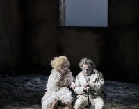 Vignola. Teatro Ermanno Fabbri – Le sedie