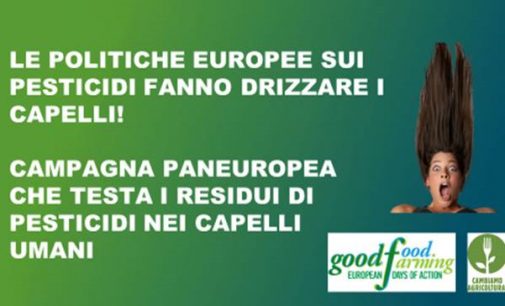 “CHECK UP PESTICIDI”: LA COALIZIONE #CAMBIAMOAGRICOLTURA LANCIA IN ITALIA LA CAMPAGNA EUROPEA SUI PESTICIDI
