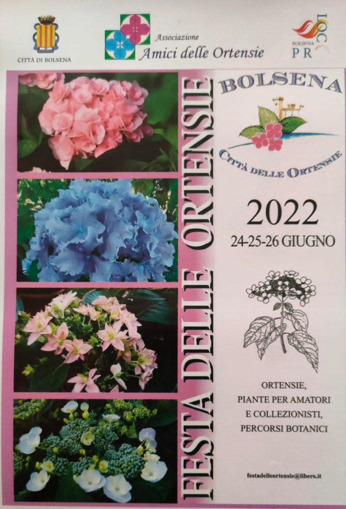 Mostra mercato Festa delle Ortensie,  torna la tre giorni di fiori e colori a Bolsena