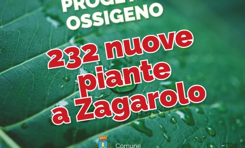 232 nuove piante a Zagarolo