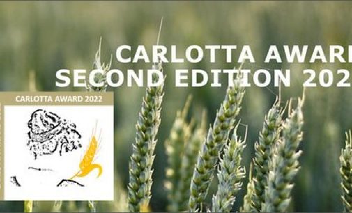 Agroalimentare: al via le candidature del “Carlotta Award 2022” per scienziate under 40