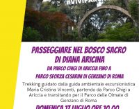 Passeggiare nel Bosco Sacro di Diana Aricina