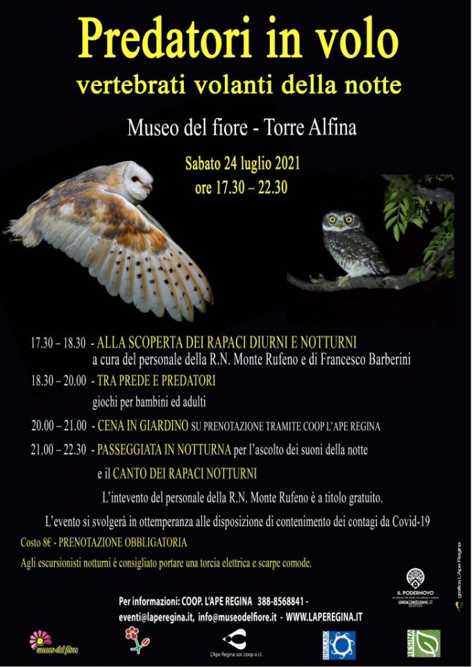 Museo del fiore – Predatori in volo vertebrati volanti della notte