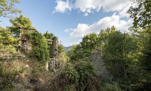 Gite la fresco nel Parco Nazionale delle foreste Casentinesi