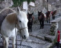 Artena Città Presepe: torna il Natale nel centro storico pedonale più grande d’Europa
