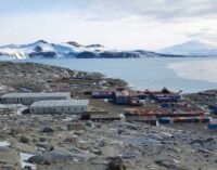 Ambiente: Antartide, marcata diminuzione dello spessore del ghiaccio marino