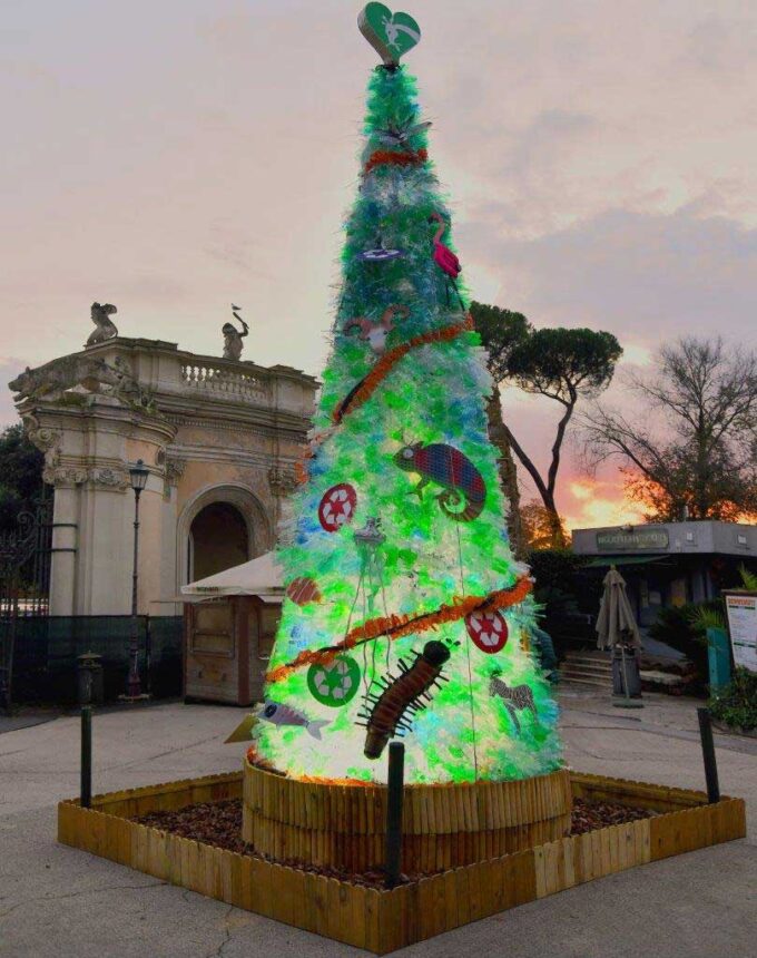 Festività natalizie: al Bioparco l’albero del riciclo