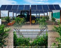 Energia: intelligenza artificiale, al via progetto per agrivoltaico “su misura”