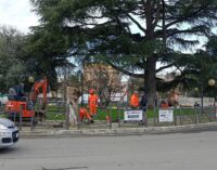 Ambiente a Ciampino, l’Amministrazione dialoga con i cittadini sul programma di abbattimenti di alberi in Città