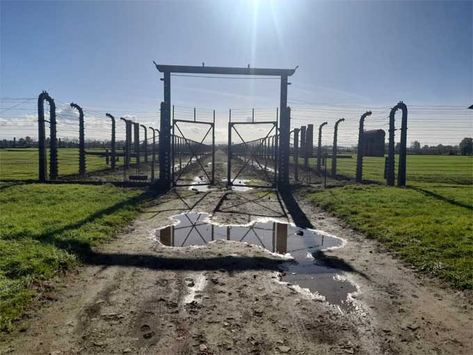 Spiragli di luce tra le ombre delle betulle di Auschwitz-Birkenau