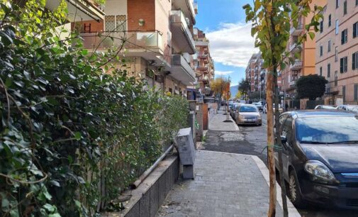 Ciampino celebra la Giornata nazionale degli Alberi