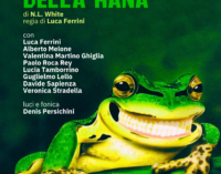 Torna in scena a Roma IL TEOREMA DELLA RANA, spettacolo di N.L. White diretto da Luca Ferrini, dal 14 al 26 novembre al Teatro de’ Servi