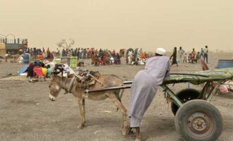 Sono 1,75 milioni gli sfollati che hanno lasciato il Sudan verso vari Paesi